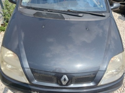 Капот крышка двигателя renault scenic 1 1 рестайлинг  teb66 2003 год фото №1