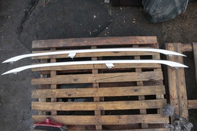 Рейлінги audi a4 b7 фото №1