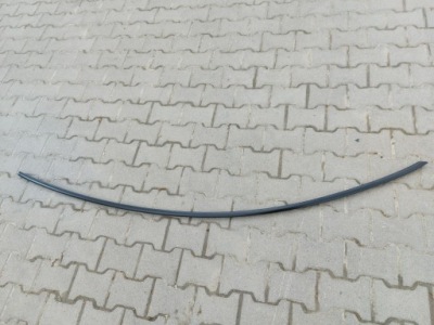 Tesla model 3 lift 2024 highland молдинг кровельная левая фото №1