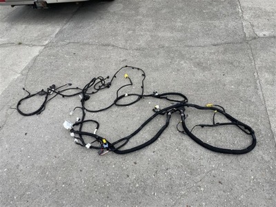 Джгут електропроводка салону 241633810s nissan townstar renault kangoo 1.3 tce фото №1