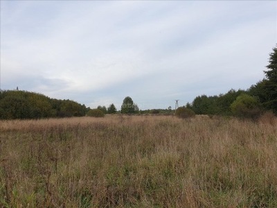 Działka, Łojew, Łochów (gm.), 824 m²