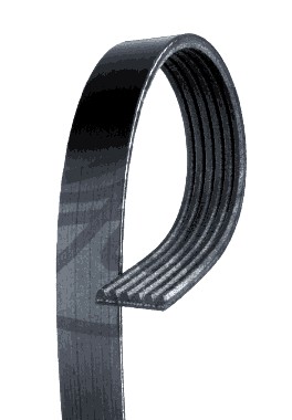 BELT MULTI-RIBBED CHEVROLET BLAZER S10 2.2 1993  