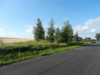 Działka, Kalisz, 1500 m²