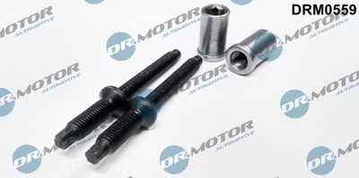 TORNILLOS SUJECIÓN BOQUILLA DRM0559 DR.MOTOR AUTOMOTIVE DR.MOTOR DRM0559  