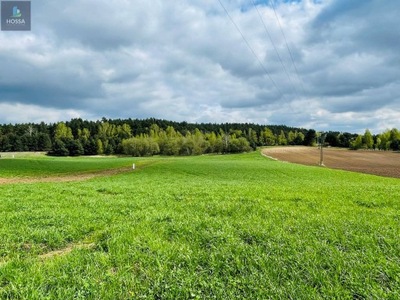 Działka, Ruda, Rogowo (gm.), 1000 m²