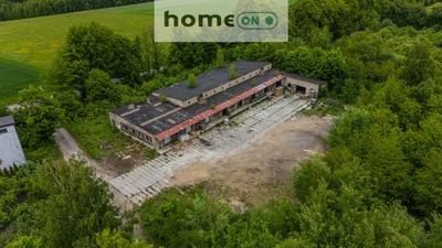 Magazyny i hale, Mzurów, Niegowa, Myszkowski, 895 m²