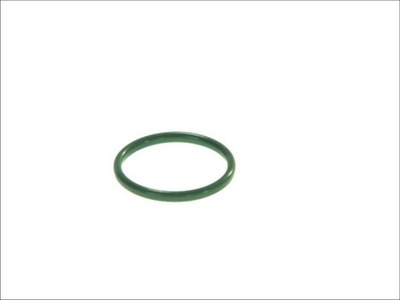 GASKET RADIATOR OILS DT 1.24116  