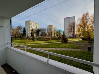 Mieszkanie, Sosnowiec, 45 m²