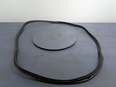 Bmw 7 g11 прокладка дверь правый задняя 7336046 фото №1