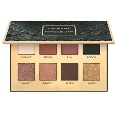 PIERRE RENE Eyeshadow Palette Paleta Cieni Do Powiek Dangerous 8