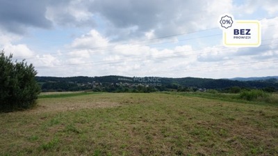 Działka, Pogwizdów, Bochnia (gm.), 9500 m²