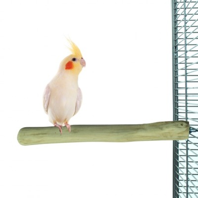 Żerdź dla średnich papug nimf JAVA M prosta