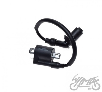 COIL IGNITION DO ATV BASHAN BS250S-5  