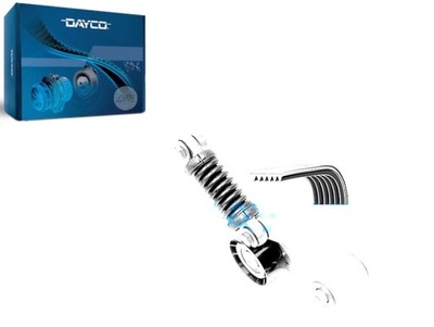 Набір ремені багаторучейкових з ролики nissan interstar primastar фото №1