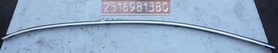 Молдинг двері лівий перед mercedes r w251 2516981380 фото №1
