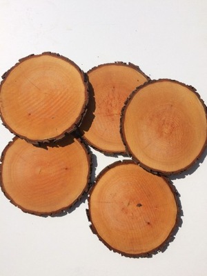 Plastry drewna na ścieżkę ogrodową duże 30cm/5szt