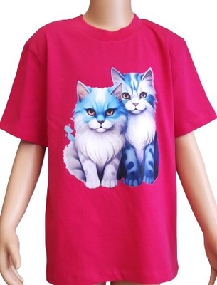 koszulka bawełna KOTKI T-shirt roz 122