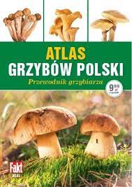 Atlas grzybów Polski. Przewodnik grzybiarza