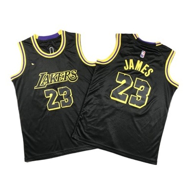 Koszulka koszykarska NBA Los Angeles Lakers LeBron James 23