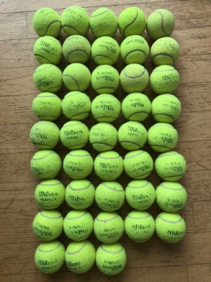 Piłki tenisowe do tenisa ziemnego Wilson TRAINER 49 szt