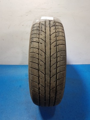 NEUMÁTICO DE INVIERNO ZEETEX WP1000 175/65 R14  