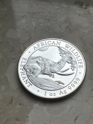 Moneta srebrna Słoń Somalijski 2023