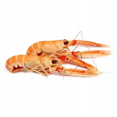 Langustynki homarzec całe surowe mrożone 2kg pyszne