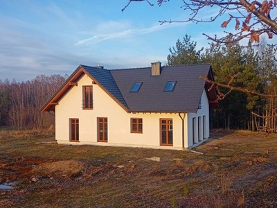 Dom, Półczno, Studzienice (gm.), 233 m²