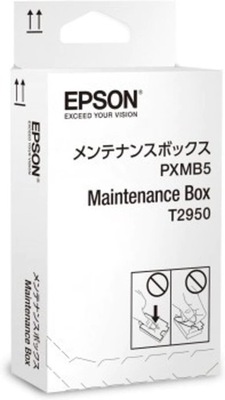 EPSON C13T295000