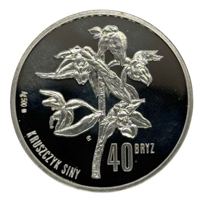 40 bryz 2008 Kruszczyk Siny - srebrny numizmat