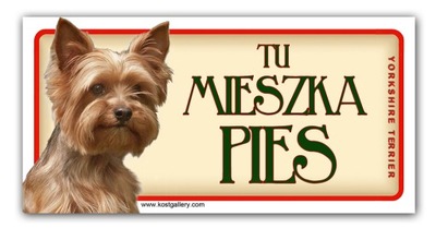 YORKSHIRE TERRIER TABLICZKA