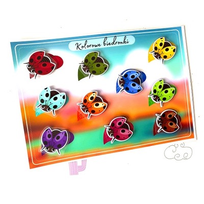 Gra edukacyjna Biedronki