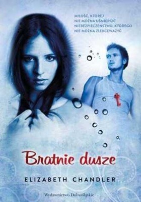 Bratnie dusze Elizabeth Chandler