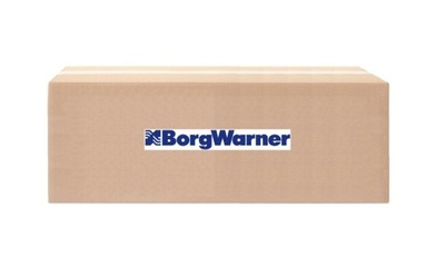 FILTRO ACEITE MECH ROZNIC BORGWARNER BW2002968_200884  