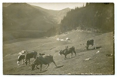 TATRY :: Hala Kalatówki - schronisko