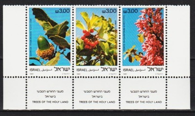 Izrael , 868-70**