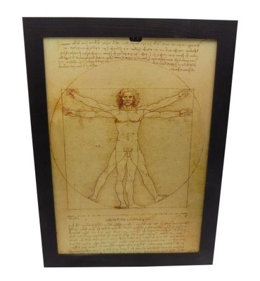 obraz reprodukcja Człowiek witruwiański Leonardo da Vinci
