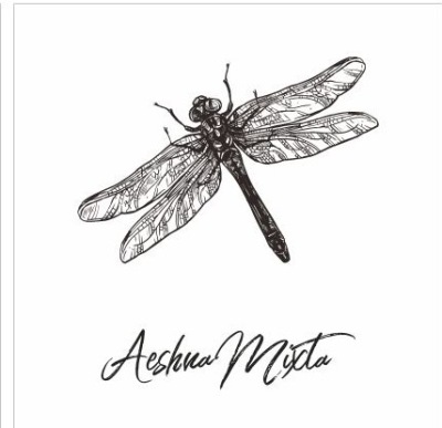 Panel poduszkowy Ważka