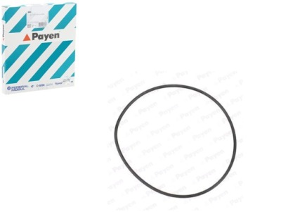 Прокладка насоса жидкость охлаждающей alfa romeo 156 166 fiat barchetta фото №1