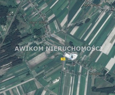 Działka, Mizerka, Nowa Sucha (gm.), 3000 m²