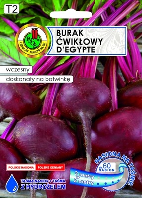 PNOS NASIONA NA TAŚMIE BURAK ĆWIKŁOWY D'EGYPTE WCZESNY Z HYDROŻELEM 3M+3M