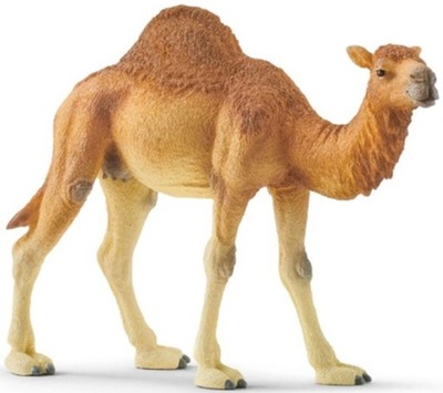 SCHLEICH WIELBŁĄD DROMADER 14832 FIGURKA ZOO 14 CM