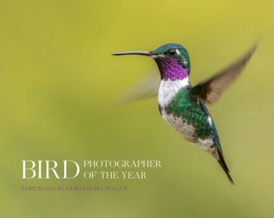Bird Photographer of the Year BIRD PHOTOGRAPHER OF THE YEAR