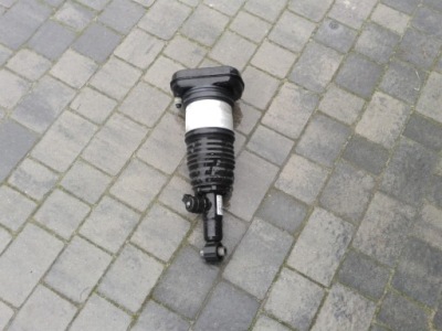 Амортизатор лівий задня bmw x7 g07 6869039 фото №1