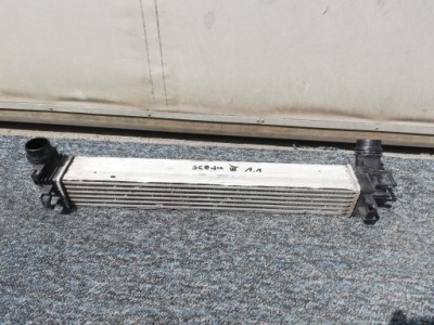 Інтеркулер renault megane iii scenic iii 1.2 tce 1.4 tce 1.5 dci фото №1