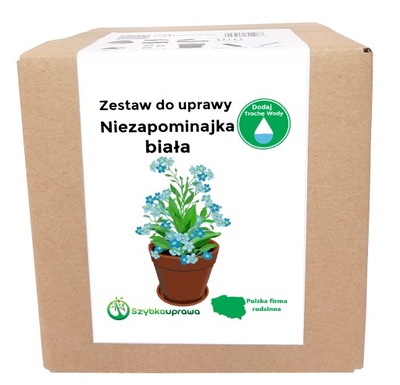 Zestaw do Uprawy NIEZAPOMINAJKA BIAŁA X