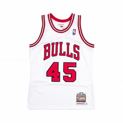 MN Authentic Jersey Bulls 1994-95 Michael Jordan L