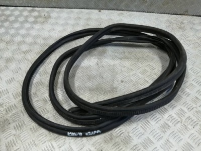 Прокладка задняя задняя крышки renault kangoo 2 рестайлинг фото №1