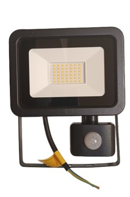 NASWIETLACZ LED 30W 6500K PIR EKO LIGHT Z CZUJNKIEM TRAFFIC 30W 6500K EK4449  