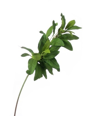 Szałwia zielona gałązka z listkami 57cm sztuczna